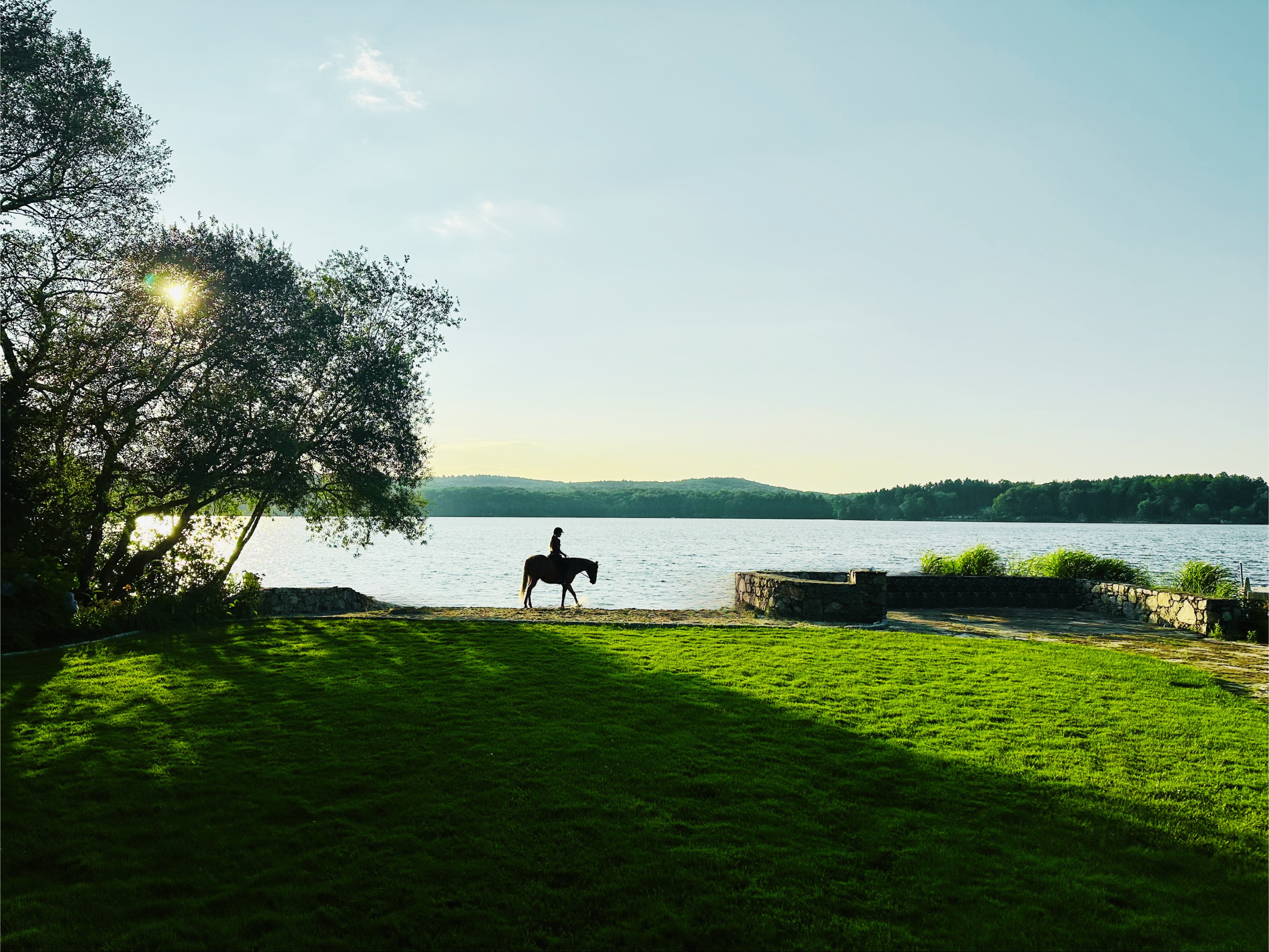A horse and rider at the water's edge at golden hour