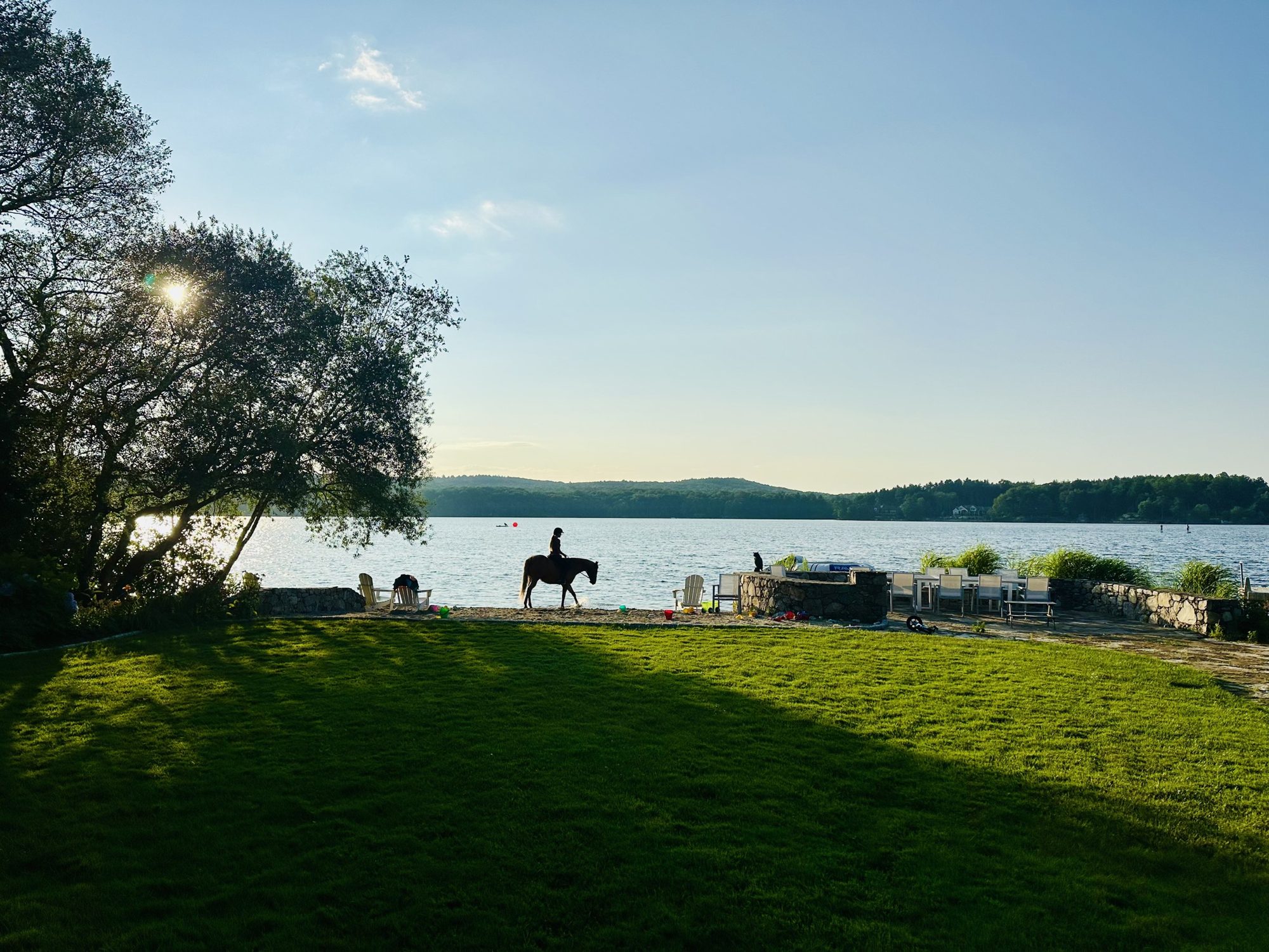 A horse and rider at the edge of the cove at golden hour