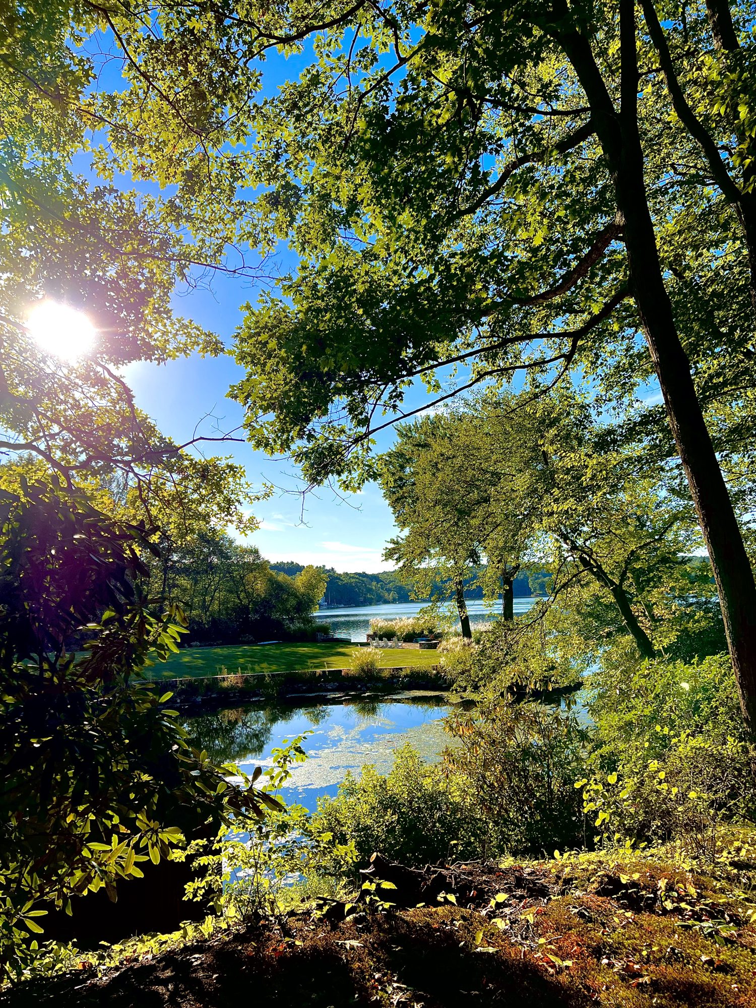 Wooded trail leading down to the cove