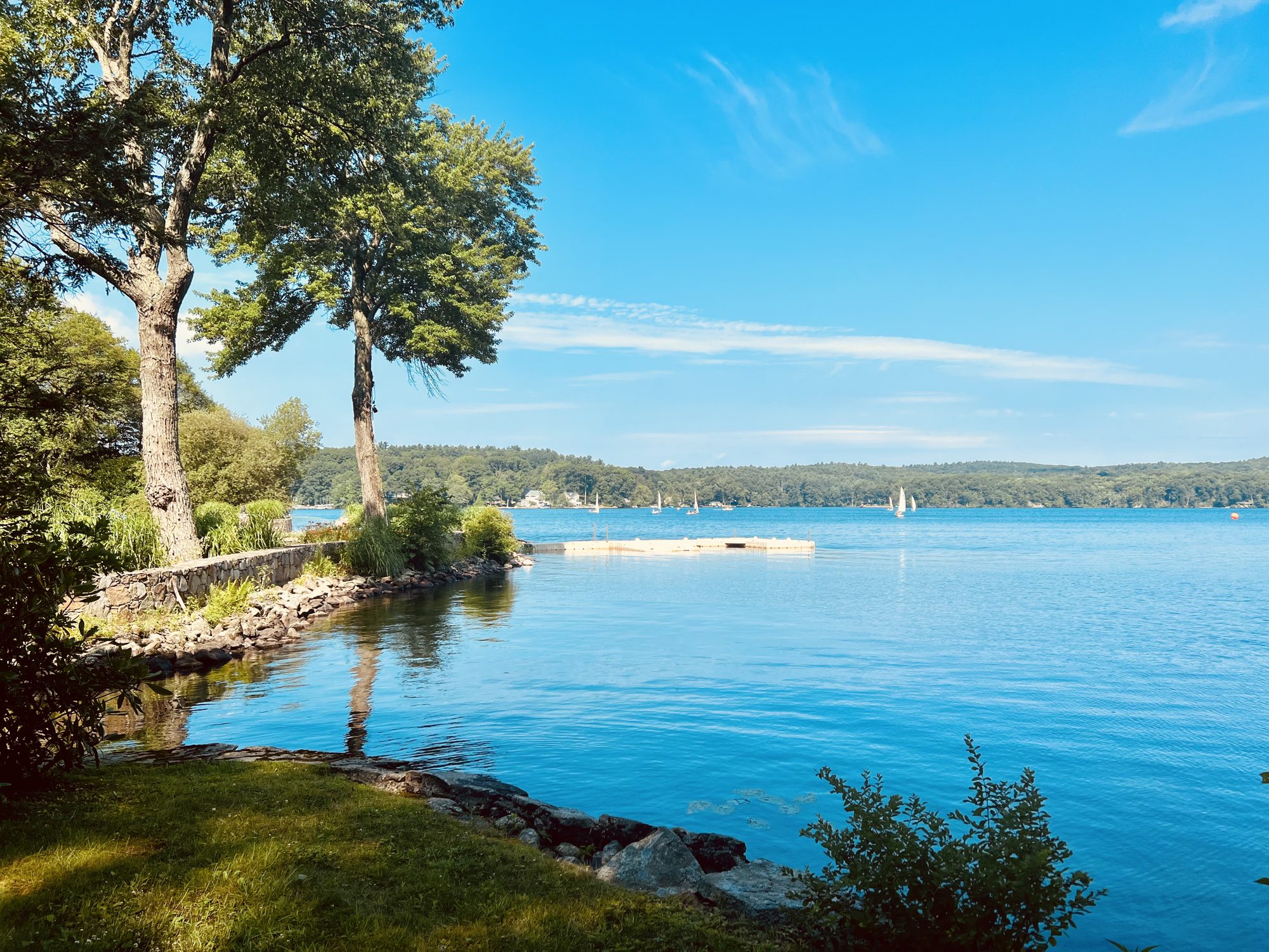 A view across the lake
